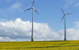 Windräder im Raps